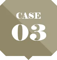 CASE03