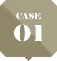 CASE01