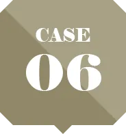 CASE06